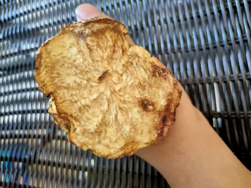内蒙古阿拉善肉苁蓉超大油肉苁蓉鲜干片老根片500g包邮