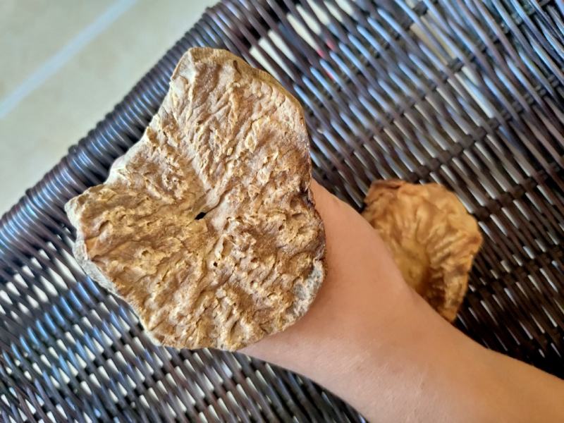 内蒙古阿拉善肉苁蓉超大油肉苁蓉鲜干片老根片500g包邮