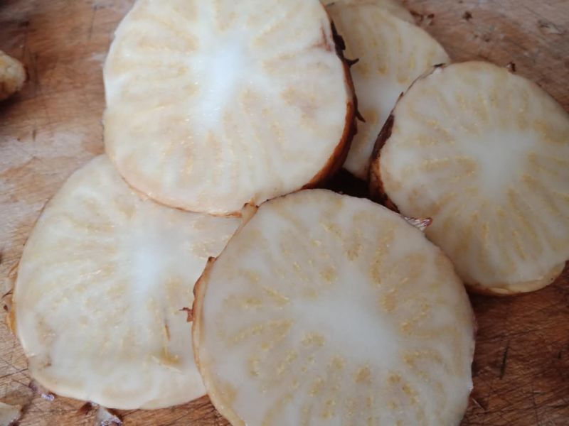 内蒙古阿拉善肉苁蓉超大油肉苁蓉鲜干片老根片500g包邮