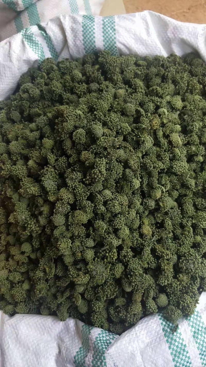 2024年新三七花云南文山三七花茶田七花500包邮