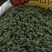 2024年新三七花云南文山三七花茶田七花500包邮