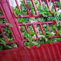 本地特产