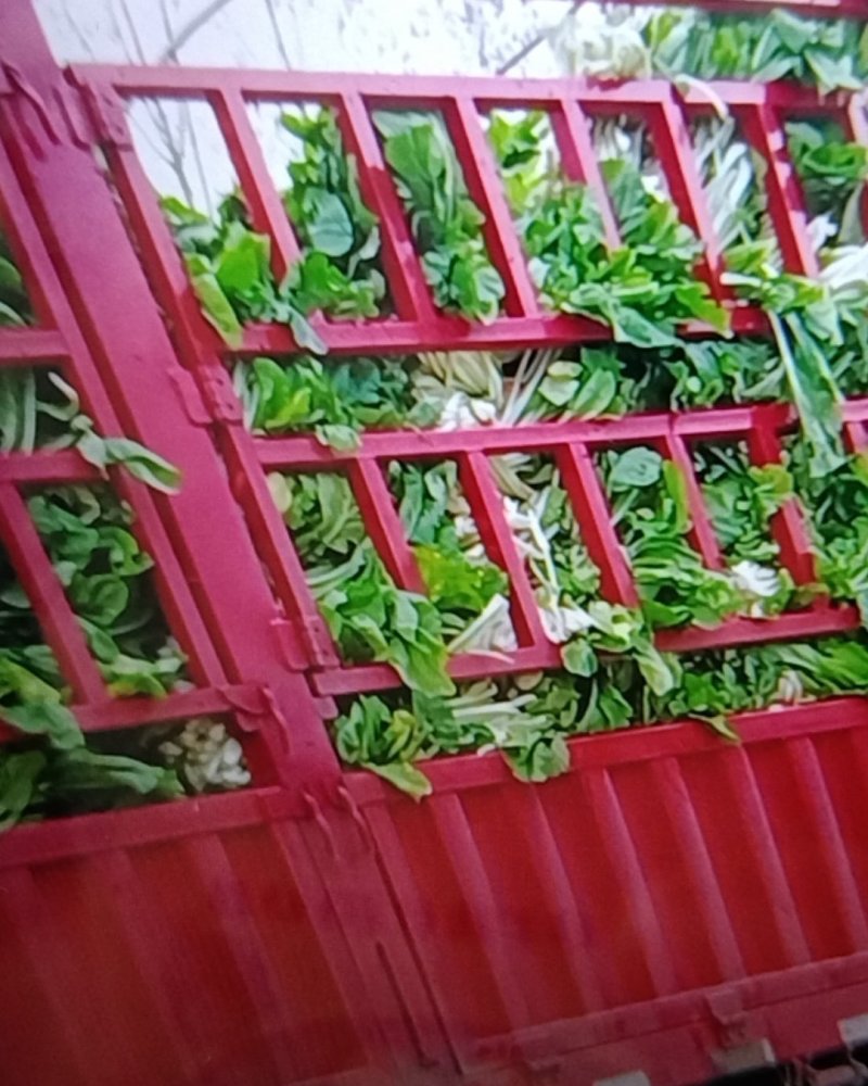 本地特产