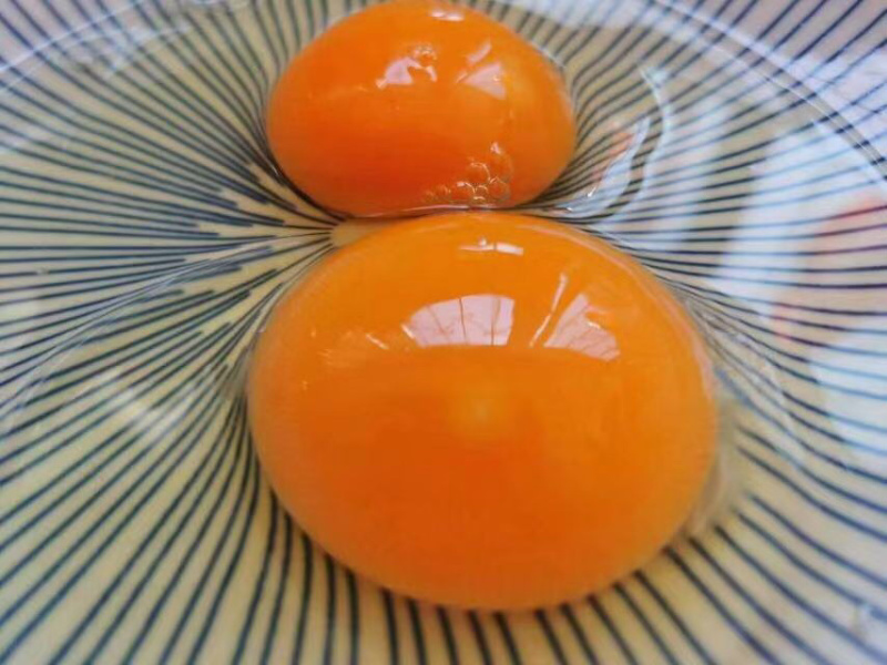 绿壳鸡蛋，基地直供