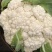 散花散花