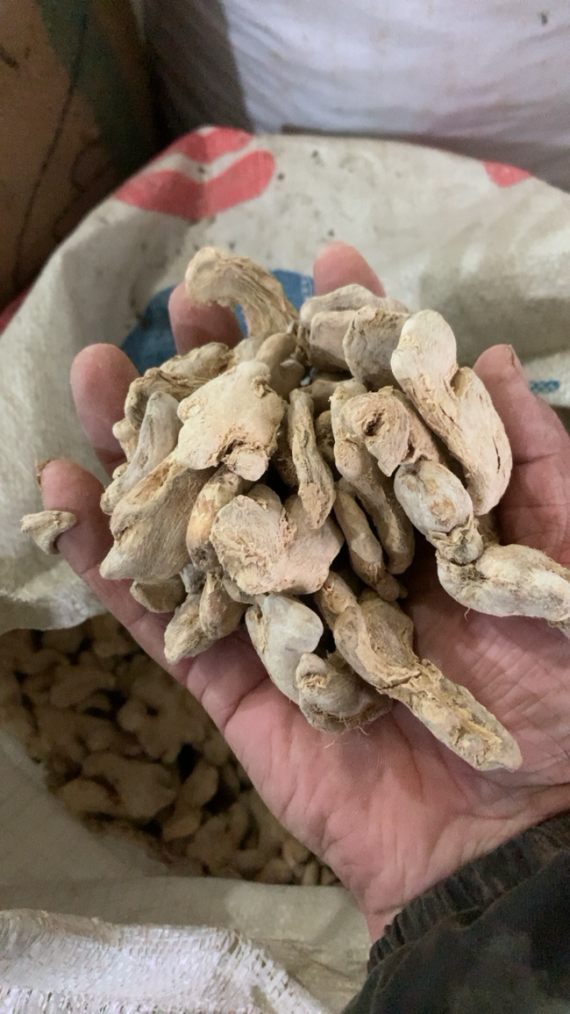干姜干姜新货颜色好气味大品质保证为冲销售低价销售