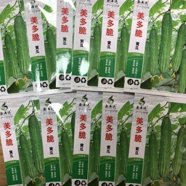 无苦味强雌性本地燕白黄瓜种子川绿11类型