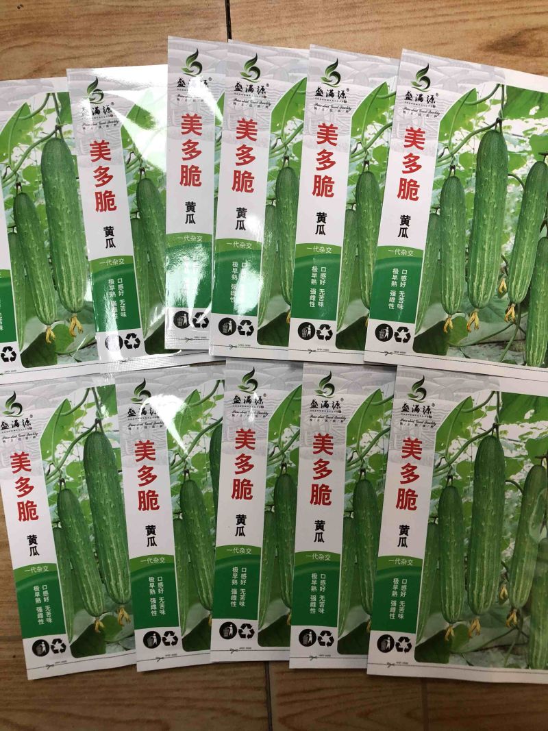 无苦味强雌性本地燕白黄瓜种子川绿11类型
