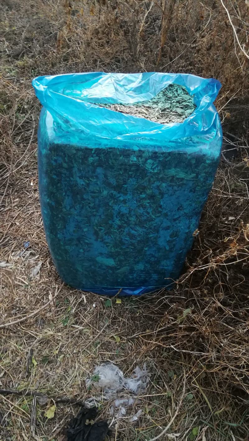 玉米秸秆牛羊饲料扎段草无土无膜黄储草快质量好