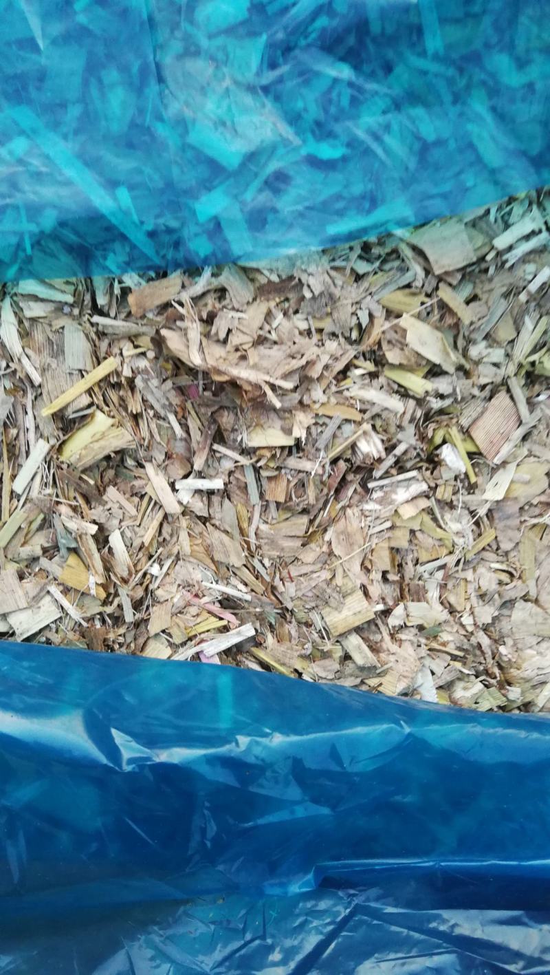 玉米秸秆牛羊饲料扎段草无土无膜黄储草快质量好