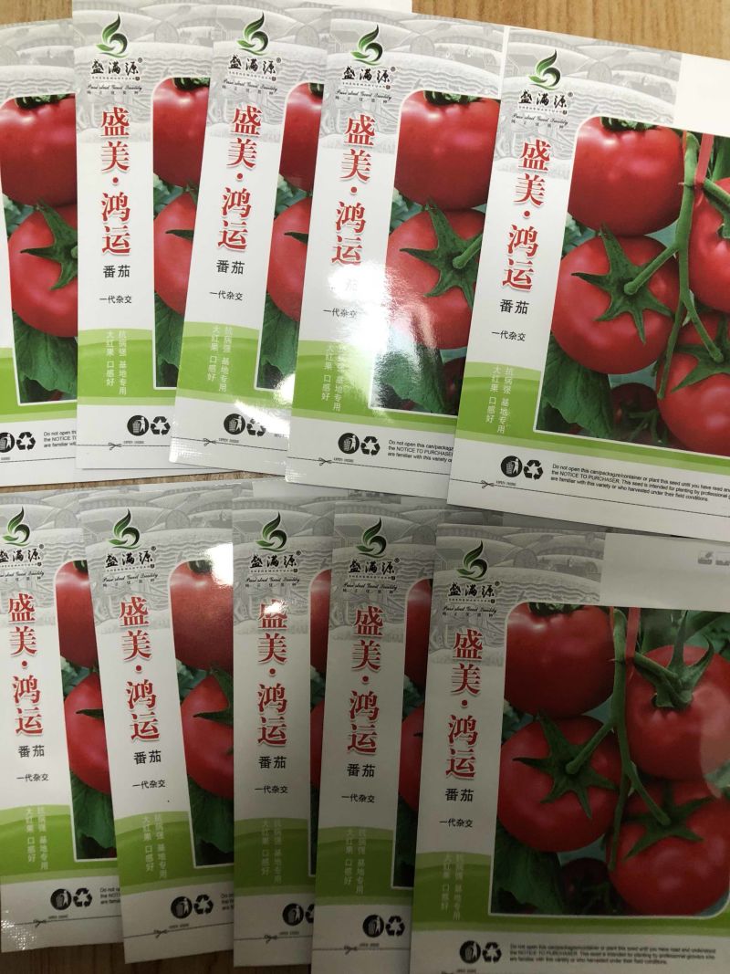 红果番茄种子口感番茄种子好吃