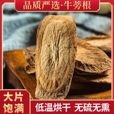 牛蒡根牛蒡茶无硫无杂质品质保证一公斤起批量大低