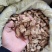牛蒡根牛蒡茶无硫无杂质品质保证一公斤起批量大低