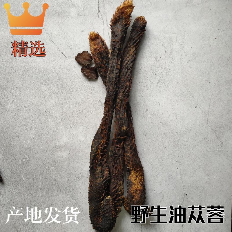 内蒙古阿拉善肉苁蓉野生油苁蓉精选秋冬货整根油性