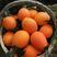 【推荐】长虹橙果型为椭圆形颜色火红纯甜爆汁化渣