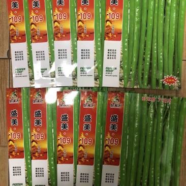 青红两用浅绿色长线椒种子特长线椒高产一袋也批发