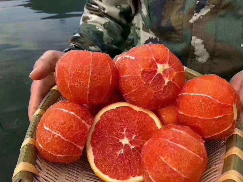 1️⃣中华红血橙可视频看货水分充足口感纯甜