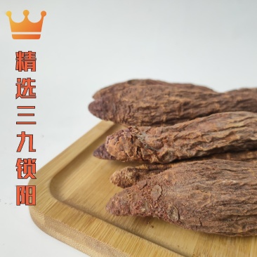 内蒙古野生锁阳三九金锁阳(短头锁阳)精选整根，产地批发