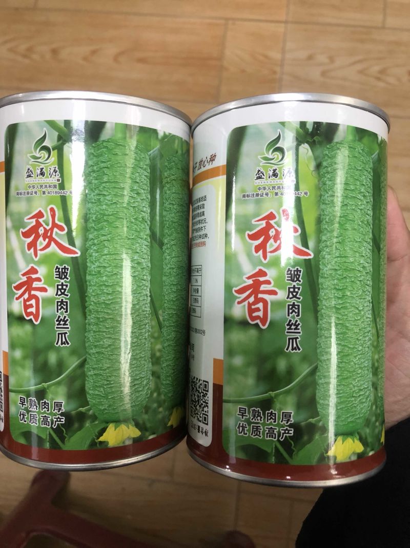 秋香春秋两用皱皮丝瓜种子早熟高产