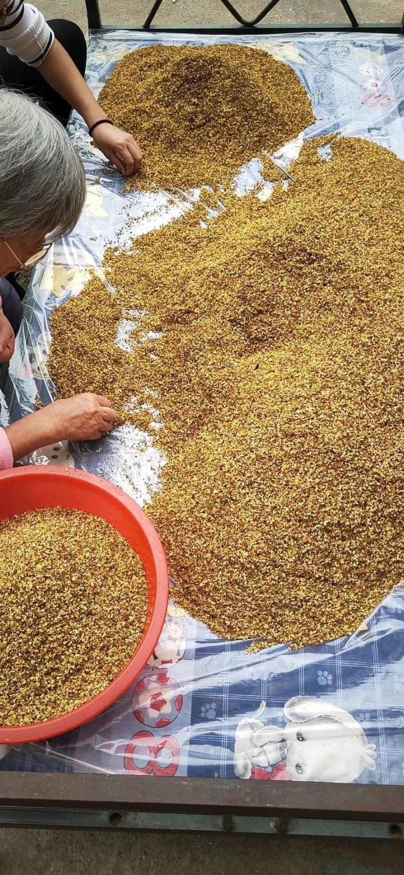 干桂花，湖北咸宁烘焙干桂花，金桂干桂花花，手摘干桂花
