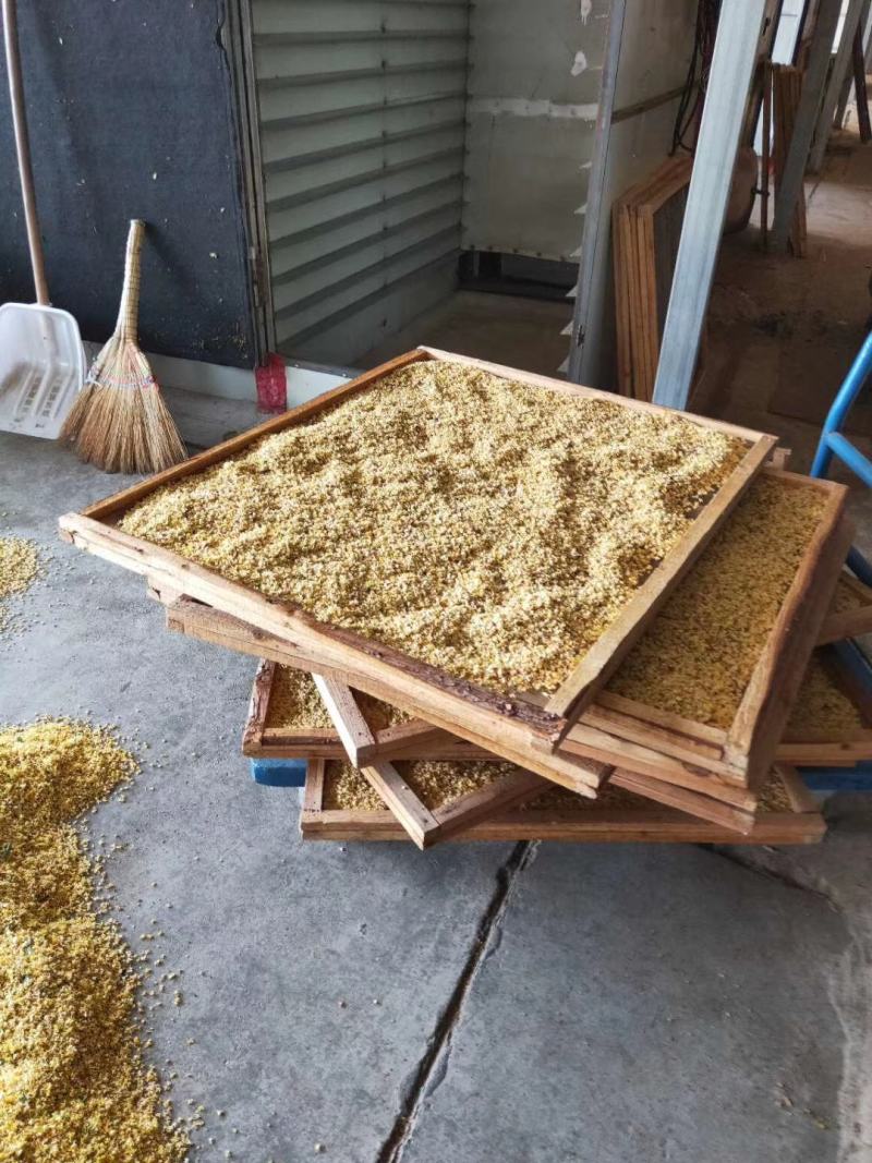 干桂花，湖北咸宁烘焙干桂花，金桂干桂花花，手摘干桂花