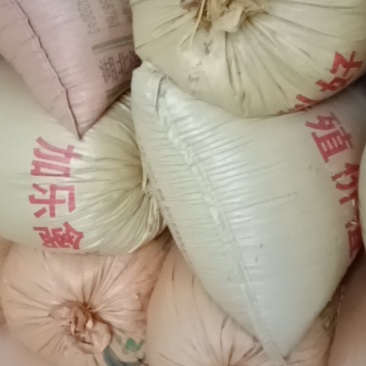 现有2020年稻谷，一万余斤