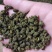 云南昭通鲁甸青花椒金沙江边低海拔.麻度高