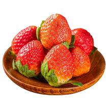 草莓新鲜非丹东草莓奶油草莓冰糖草莓大凉山草莓新鲜批发价包