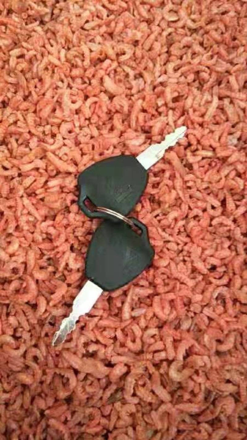 虾仁，海米规格齐全，