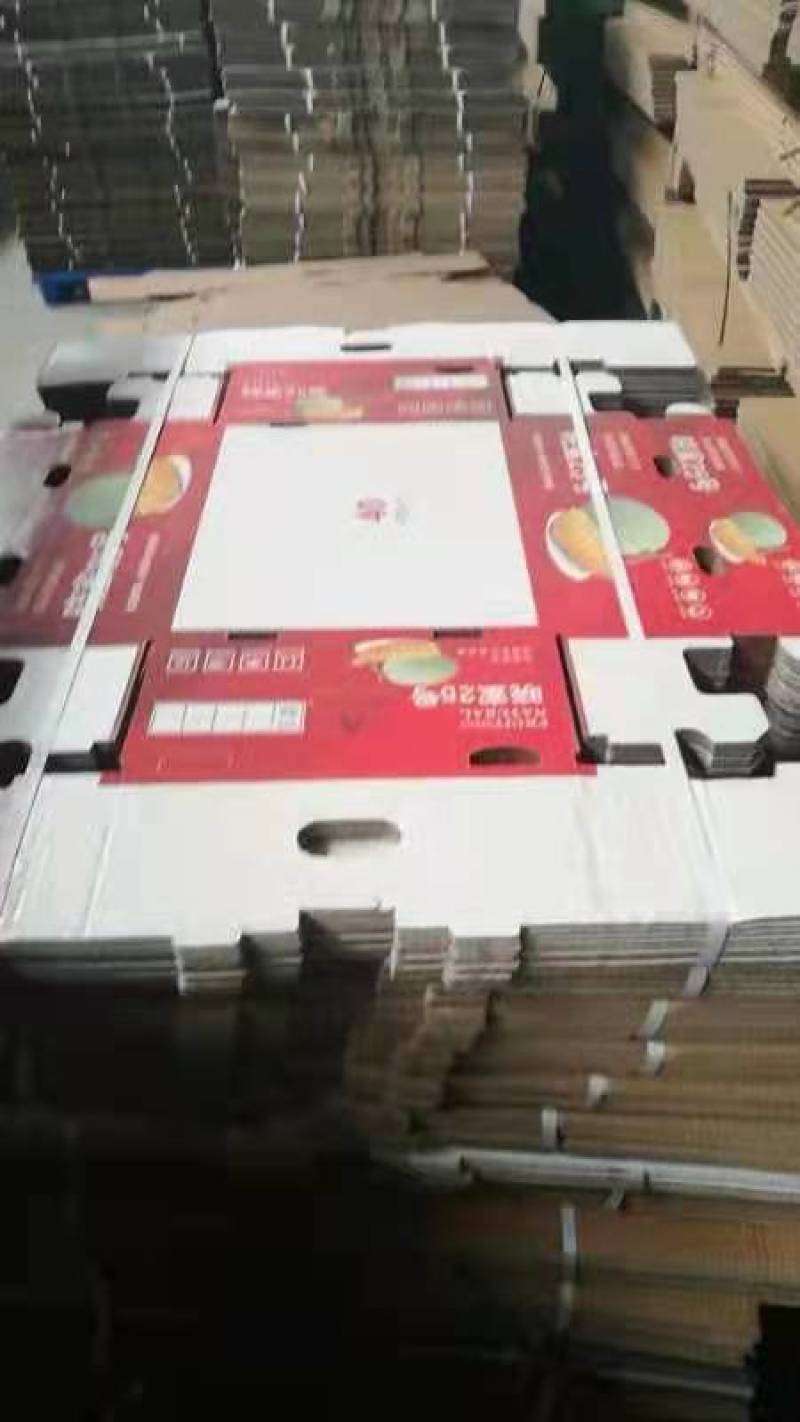 海南网纹瓜，西周蜜哈密瓜，含糖量高脆爽甘甜，基地直发全国