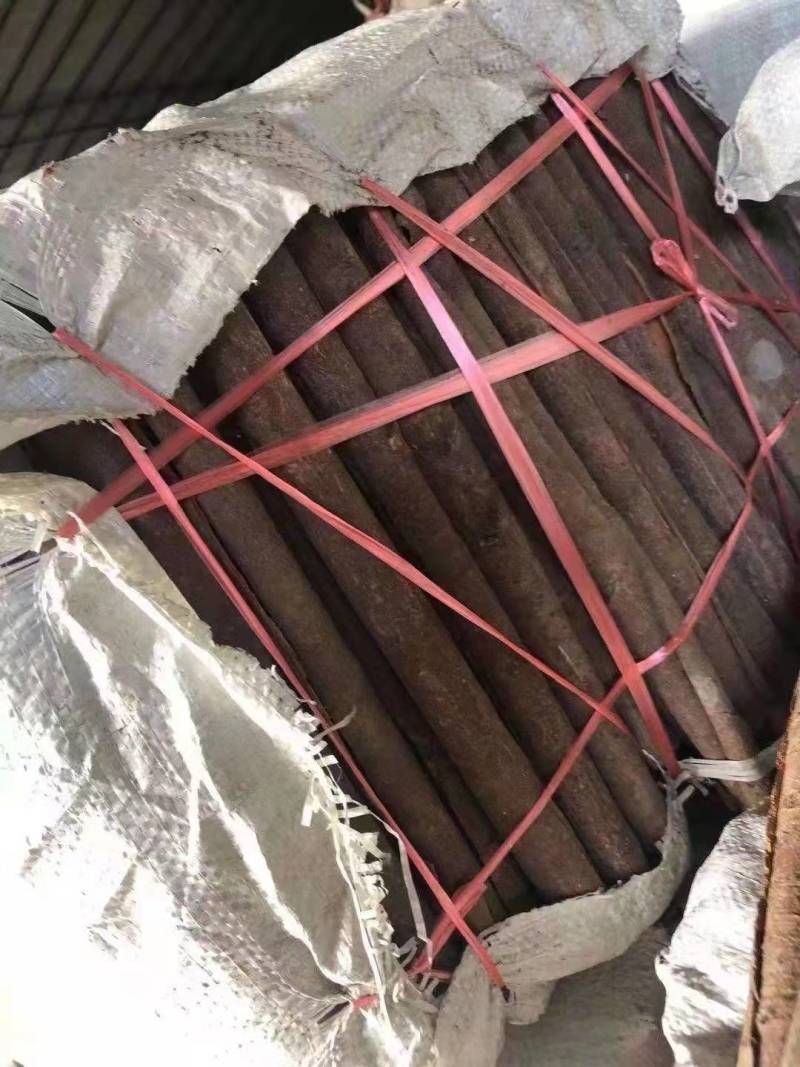 广西野生干桂皮批发，自产自销！一件代发！合作共赢！