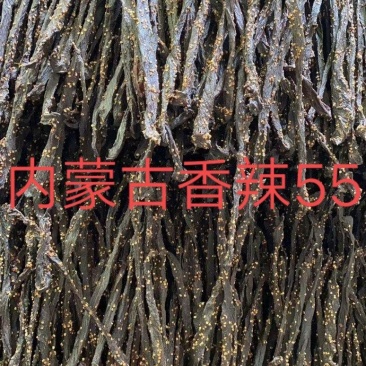 牛肉干