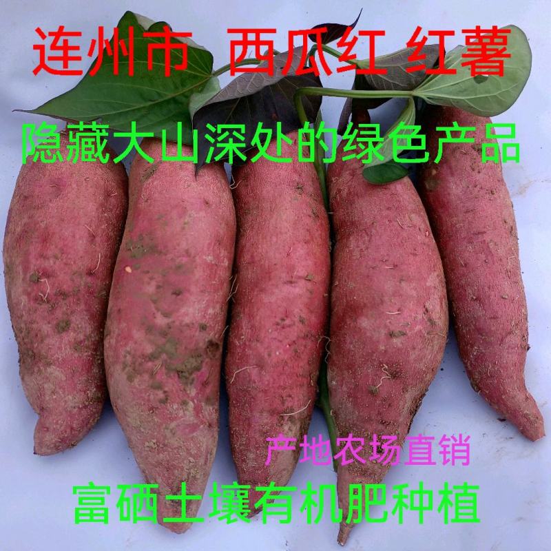 富硒西瓜红番薯连州市农家有机肥种植超甜红薯