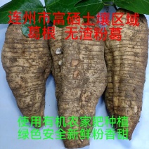 富硒无渣粉葛连州市农家有机肥种植葛根新鲜