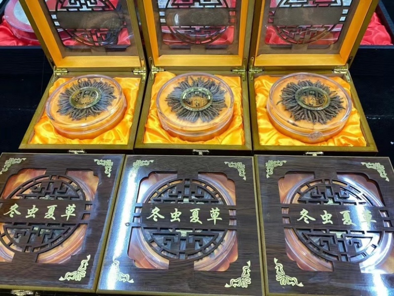 西藏那曲虫草冬虫夏草100条礼盒装滋补养生送礼佳品批发