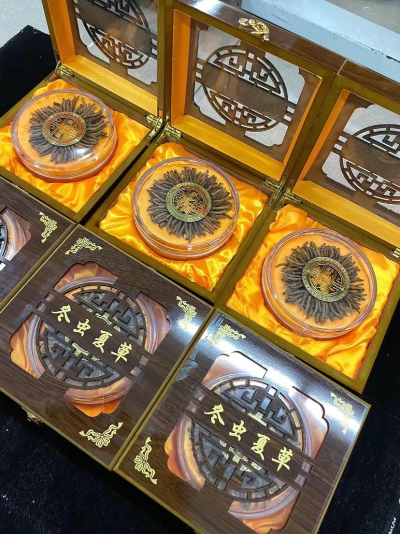 西藏那曲虫草冬虫夏草100条礼盒装滋补养生送礼佳品批发
