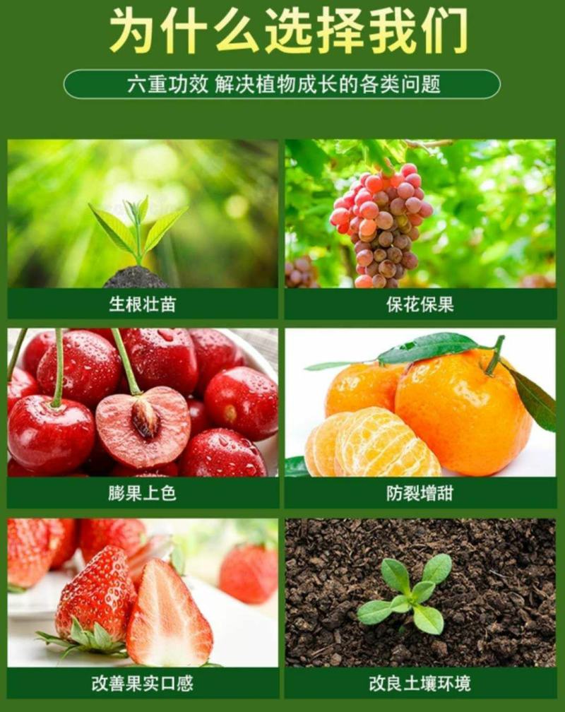 抗寒防冻液，零下20度不受冻害，抗冻，壮苗，增产。