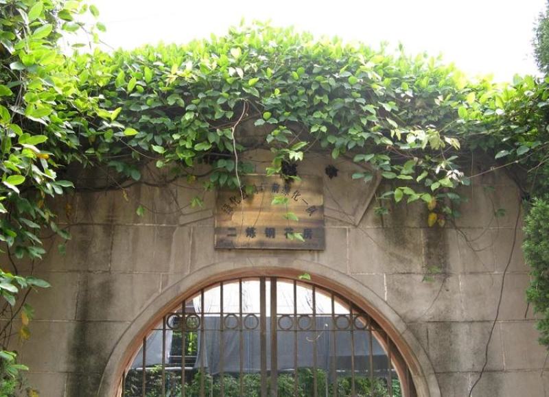 油麻藤种子多年生豆科爬藤乔林灌木蜜源绿化护坡固土景观