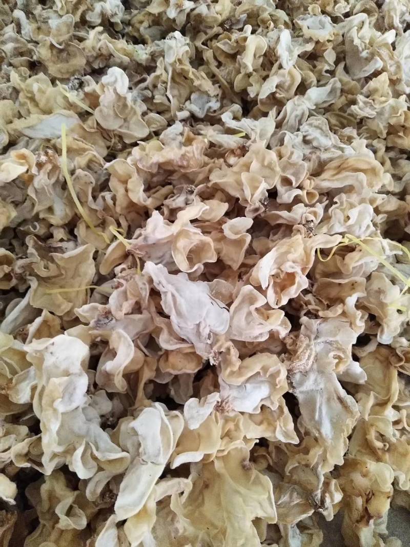 白木耳丝佛跳墙添加木耳丝口感脆嫩竹耳丝酒店特色食材全国发