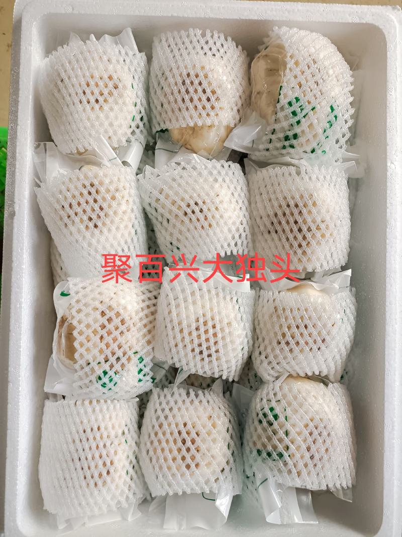 兰州百合【优选】批发零售，量大从优【包邮】