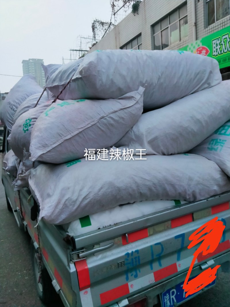 辣椒王卤菜专用福建辣椒王辣椒片辣椒面