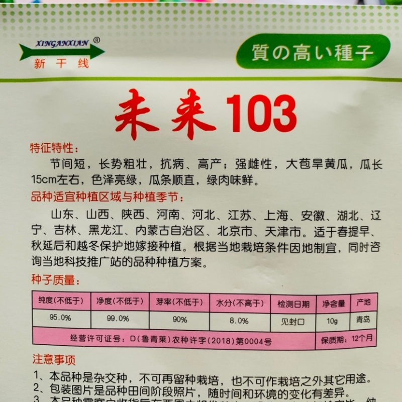 未来103强雌大苞旱黄瓜种子水果黄瓜种子，耐寒抗病高产