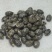 蓖麻子干货中药材颗粒均匀量大从优