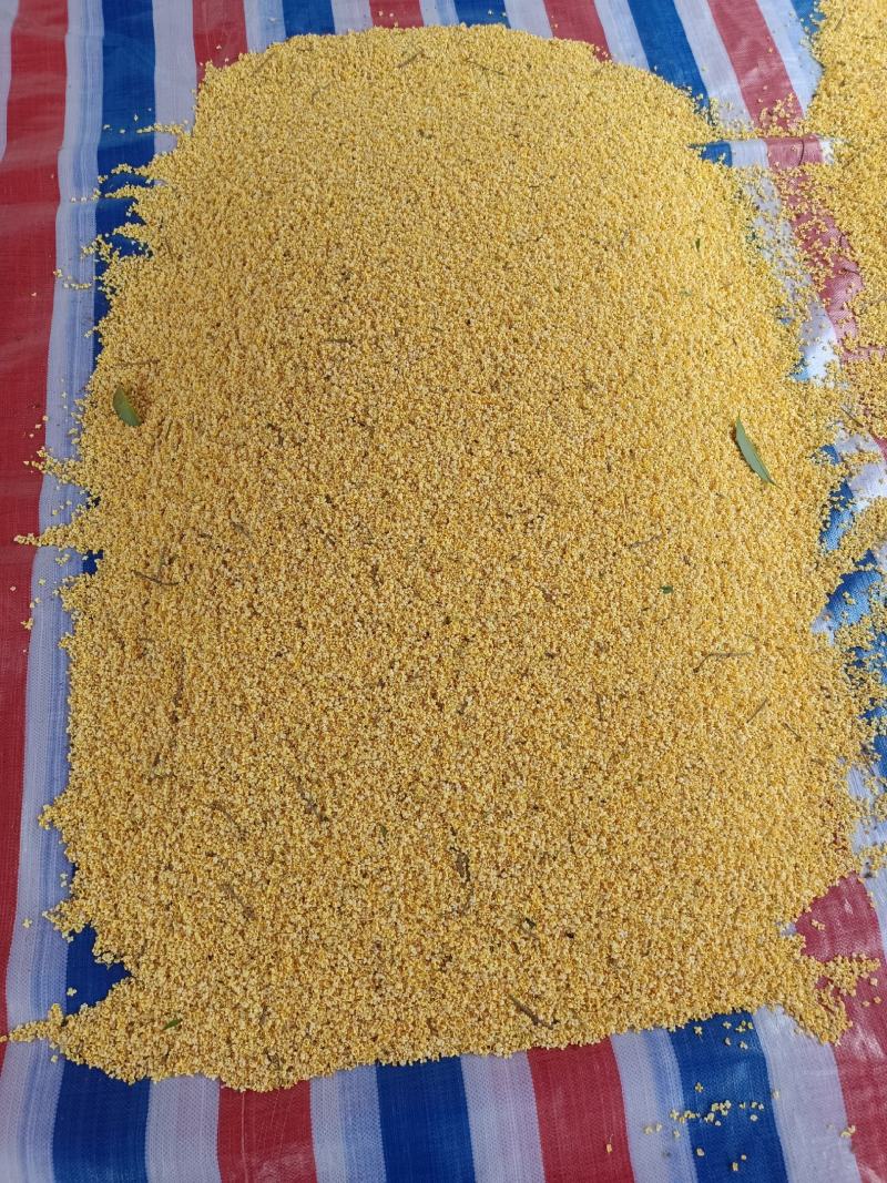 桂花，干桂花，桂花干，桂花20公分，10公分，桂花鲜花