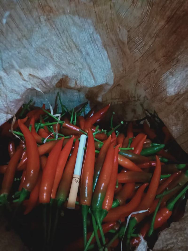 小米辣，鲜货现摘现发