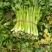 【芹菜】砀山大棚芹菜基地，一手货源保证质量，量大从优