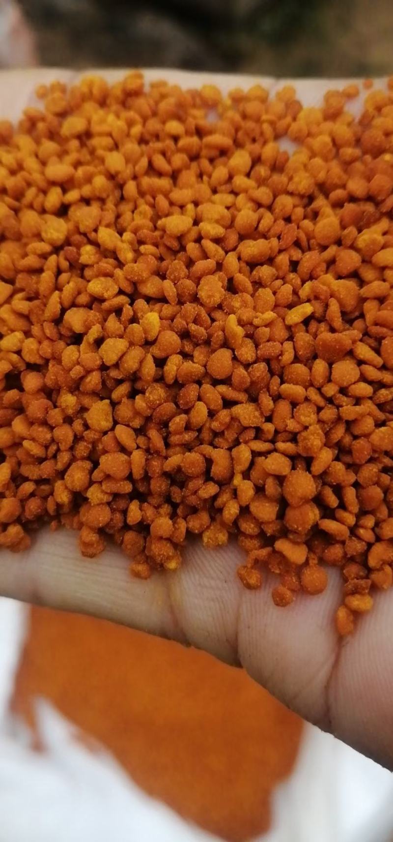 黄柏蜂花粉，深山树粉