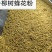 黄柏蜂花粉，深山树粉
