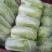 黄心白菜需要的联系便宜！诚信经营！大白菜！便宜好！