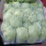 黄心白菜需要的联系便宜！诚信经营！大白菜！便宜好！